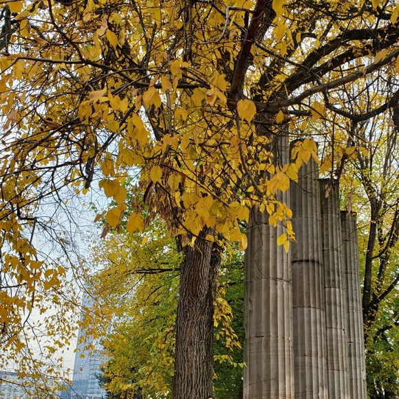 Meet your Posher, Rose anne - Picture 1 of 1